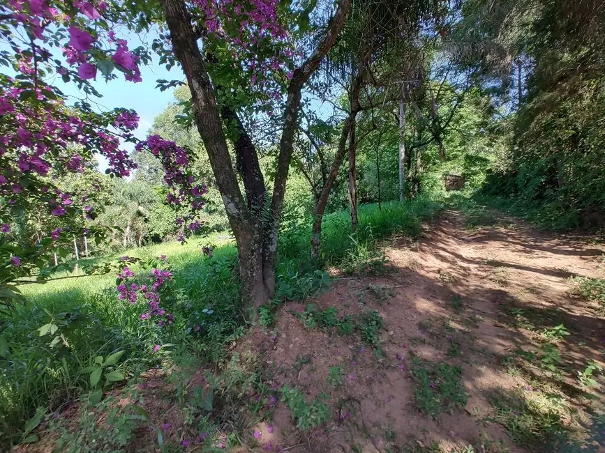 Chácara com 2 quartos à venda, 5000m2 em Bom Jardim, Jundiai - SP - imagem 4 Foto 4 de Chácara com 2 quartos à venda, 5000m2 em Bom Jardim, Jundiai - SP