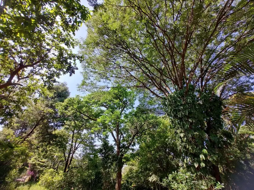 Chácara com 2 quartos à venda, 5000m2 em Bom Jardim, Jundiai - SP - imagem 8 Foto 8 de Chácara com 2 quartos à venda, 5000m2 em Bom Jardim, Jundiai - SP
