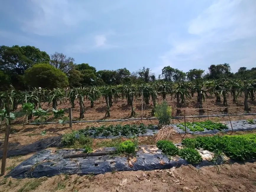 Foto 4 de Sítio / Rancho com 3 quartos à venda, 32000m2 em Itupeva - SP
