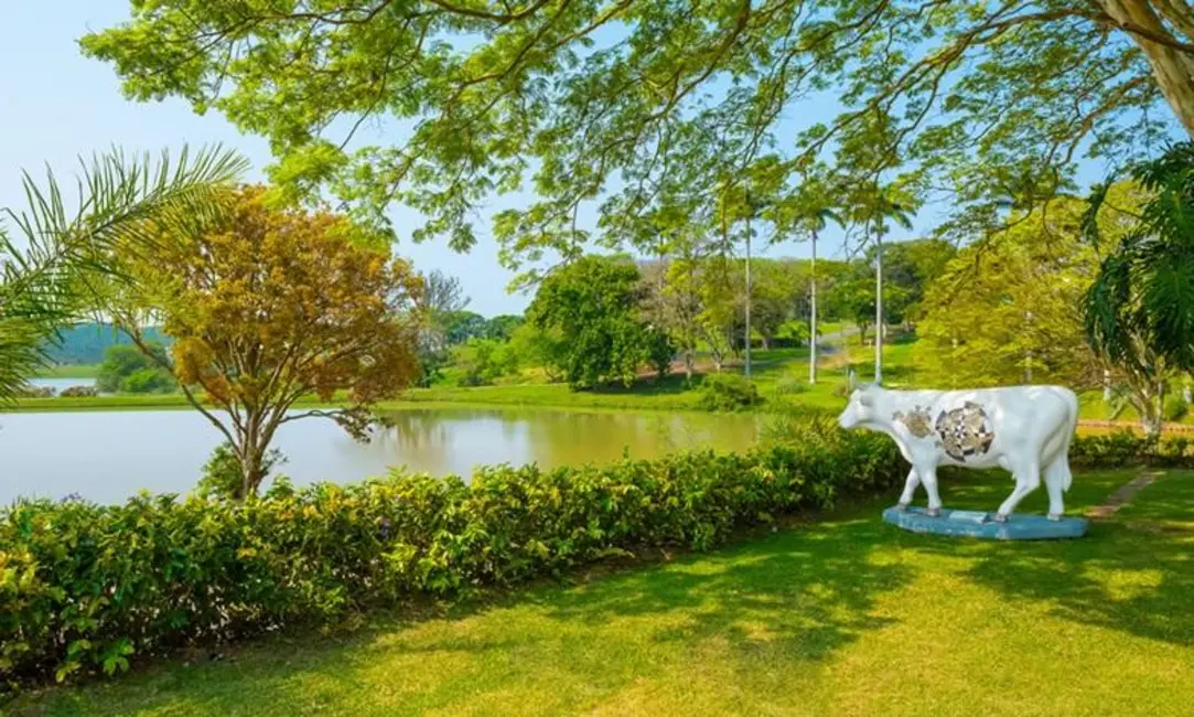 Foto 9 de Terreno / Lote à venda, 1196m2 em Itupeva - SP
