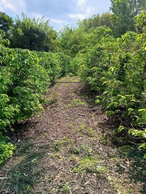Foto 5 de Sítio / Rancho à venda, 26500m2 em Monte Mor - SP