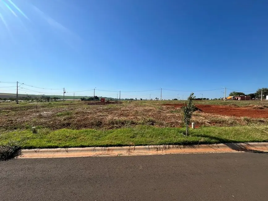 Foto 3 de Terreno / Lote à venda, 175m2 em Elias Fausto - SP