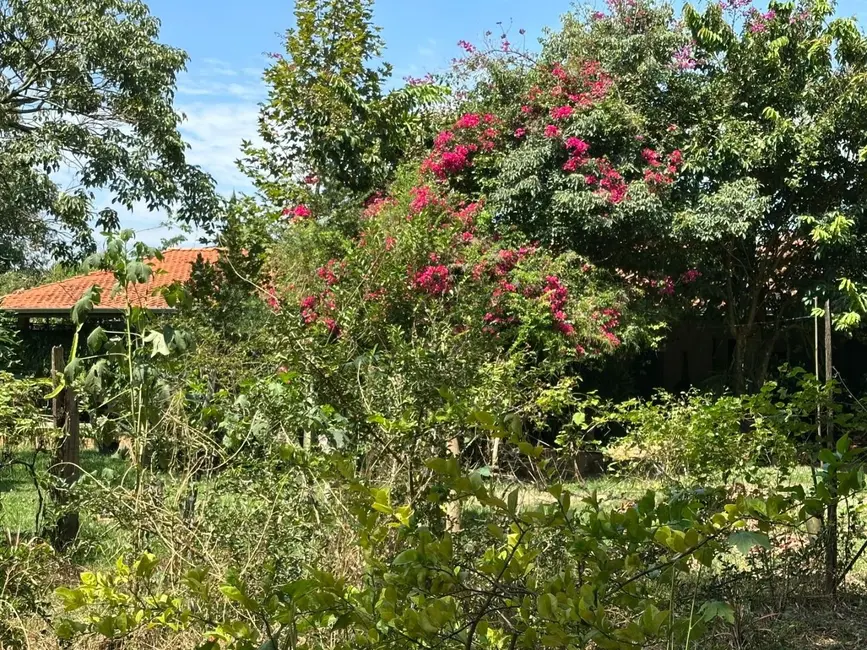 Foto 8 de Sítio / Rancho à venda, 24168m2 em Elias Fausto - SP