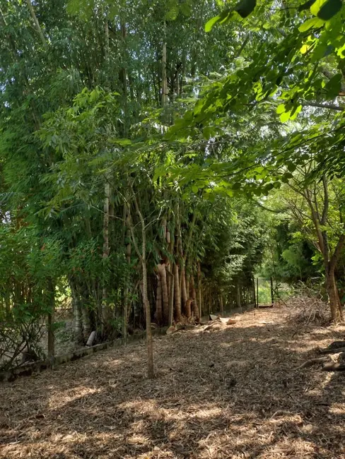 Foto 7 de Sítio / Rancho à venda, 24168m2 em Elias Fausto - SP