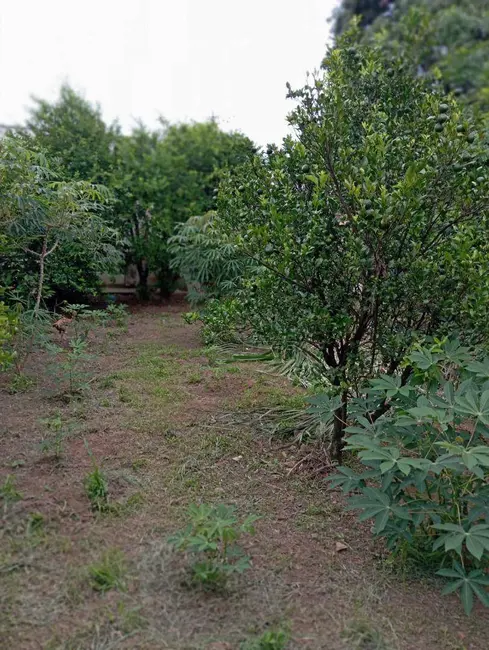 Foto 9 de Chácara com 4 quartos à venda, 5000m2 em Chácara Belvedere, Indaiatuba - SP