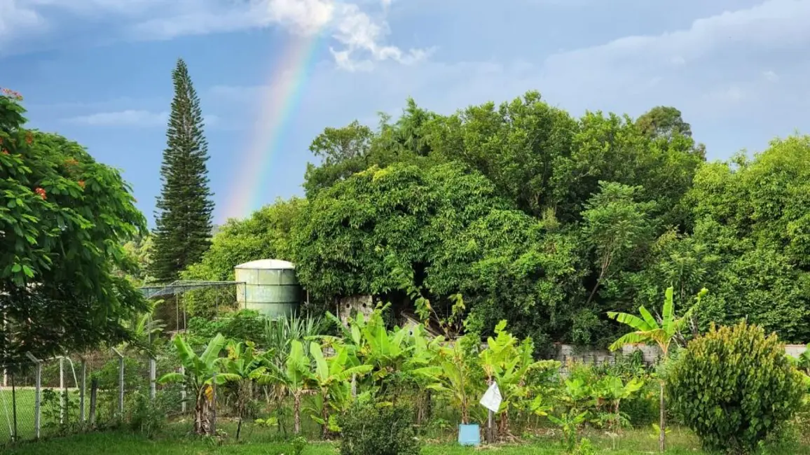 Chácara com 3 quartos à venda, 5000m2 em Itupeva - SP - imagem 7 Foto 7 de Chácara com 3 quartos à venda, 5000m2 em Itupeva - SP
