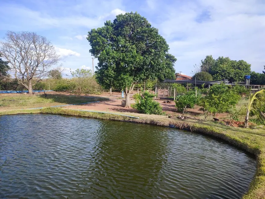 Foto 1 de Chácara à venda, 5000m2 em Elias Fausto - SP