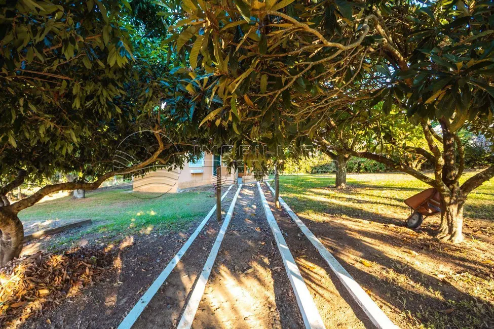 Foto 6 de Chácara com 4 quartos à venda, 3425m2 em Elias Fausto - SP