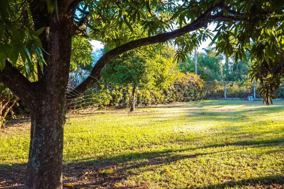 Foto 8 de Chácara com 4 quartos à venda, 3425m2 em Elias Fausto - SP