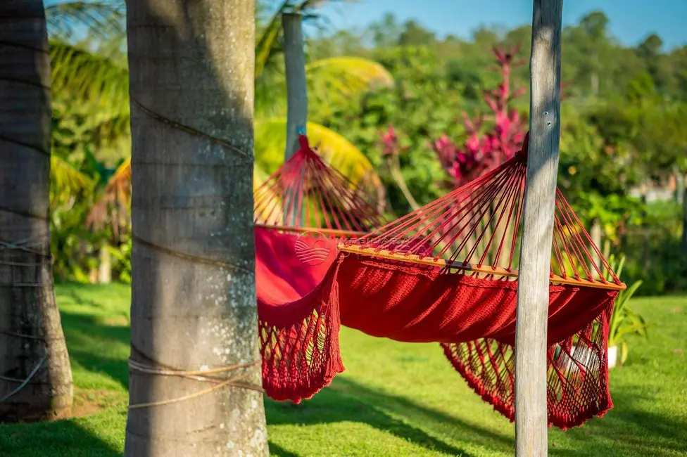 Foto 4 de Chácara com 4 quartos à venda, 24200m2 em Elias Fausto - SP