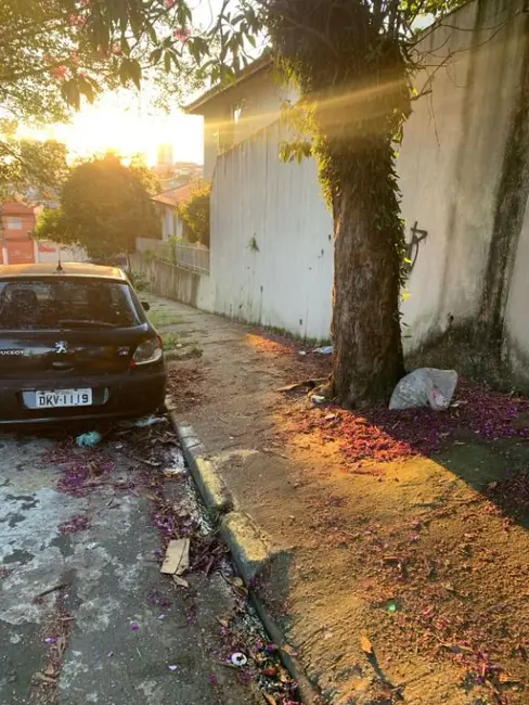 Foto 4 de Casa com 4 quartos à venda, 500m2 em Vila Pierina, São Paulo - SP