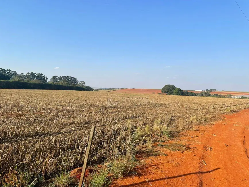 Foto 5 de Sítio / Rancho à venda, 96800m2 em Centro, Cardeal (Elias Fausto) - SP