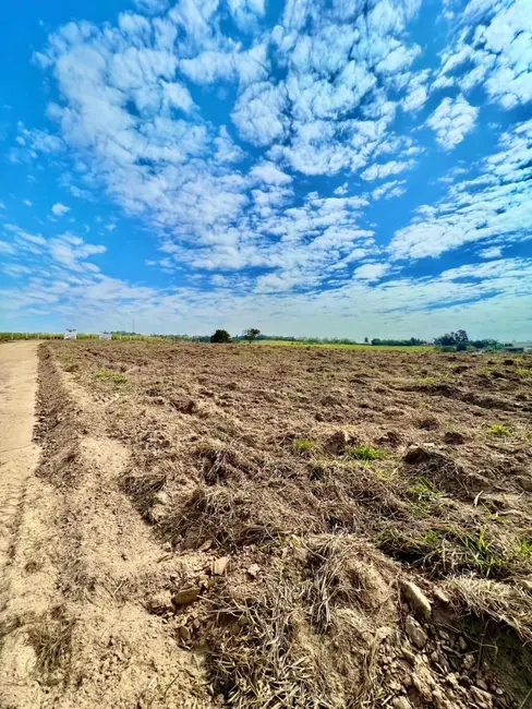 Foto 1 de Sala Comercial à venda, 2000015m2 em Elias Fausto - SP