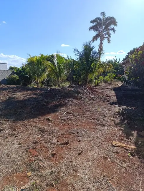 Foto 5 de Chácara com 1 quarto à venda, 1000m2 em Elias Fausto - SP