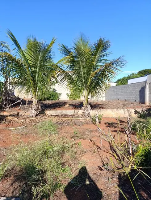 Foto 4 de Chácara com 1 quarto à venda, 1000m2 em Elias Fausto - SP