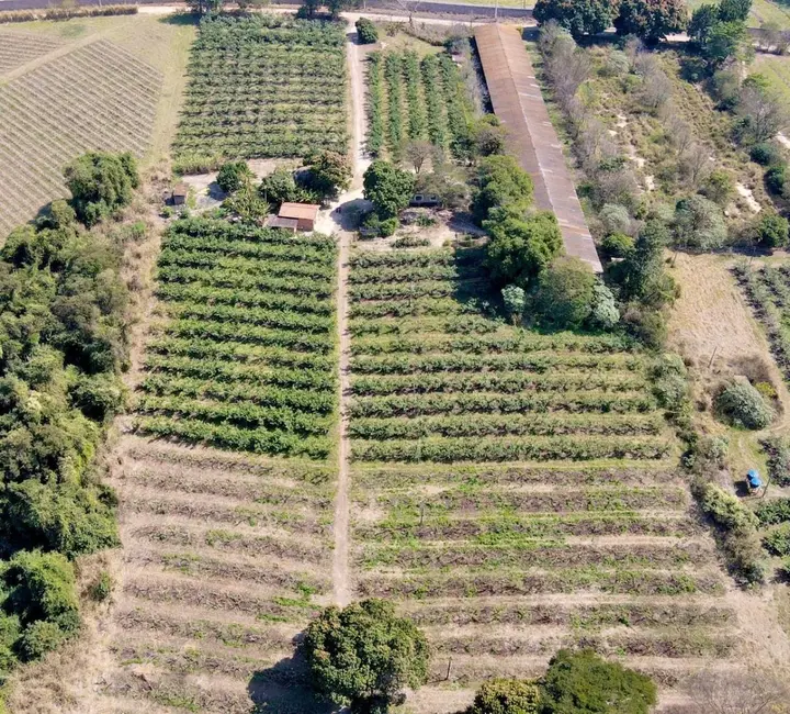 Foto 2 de Sítio / Rancho com 2 quartos à venda, 40000m2 em Parque Residencial Indaiá, Indaiatuba - SP