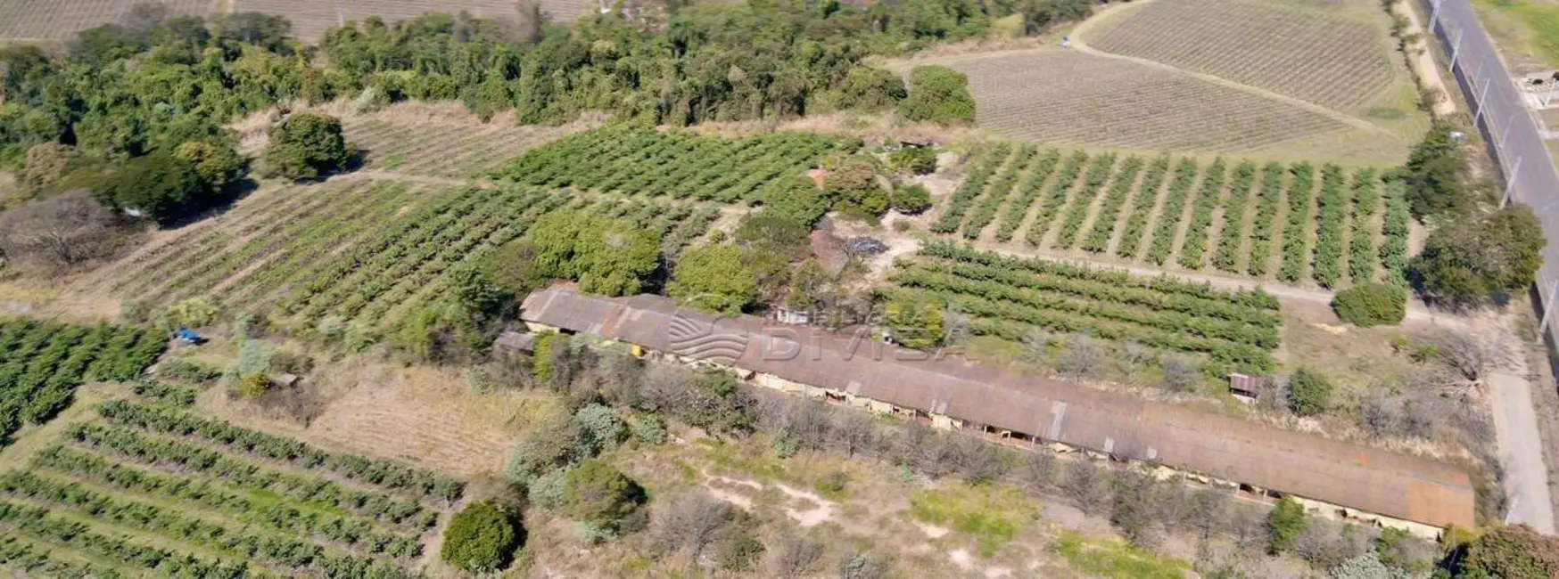 Foto 8 de Sítio / Rancho com 2 quartos à venda, 40000m2 em Parque Residencial Indaiá, Indaiatuba - SP