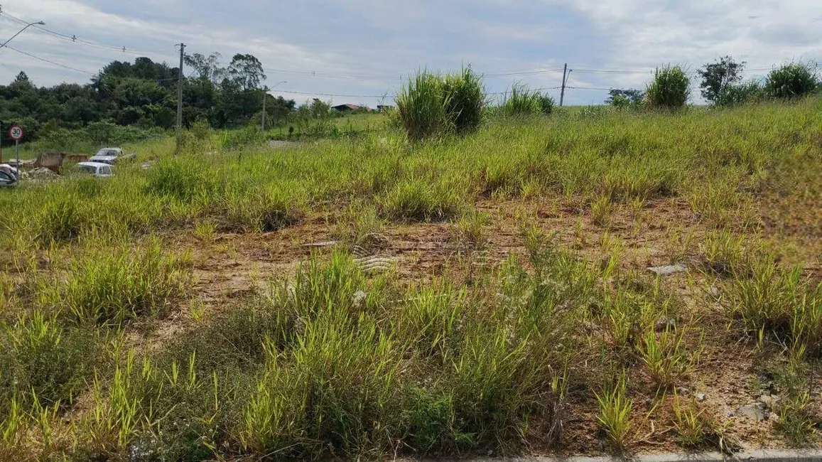 Foto 8 de Terreno / Lote à venda, 175m2 em Elias Fausto - SP
