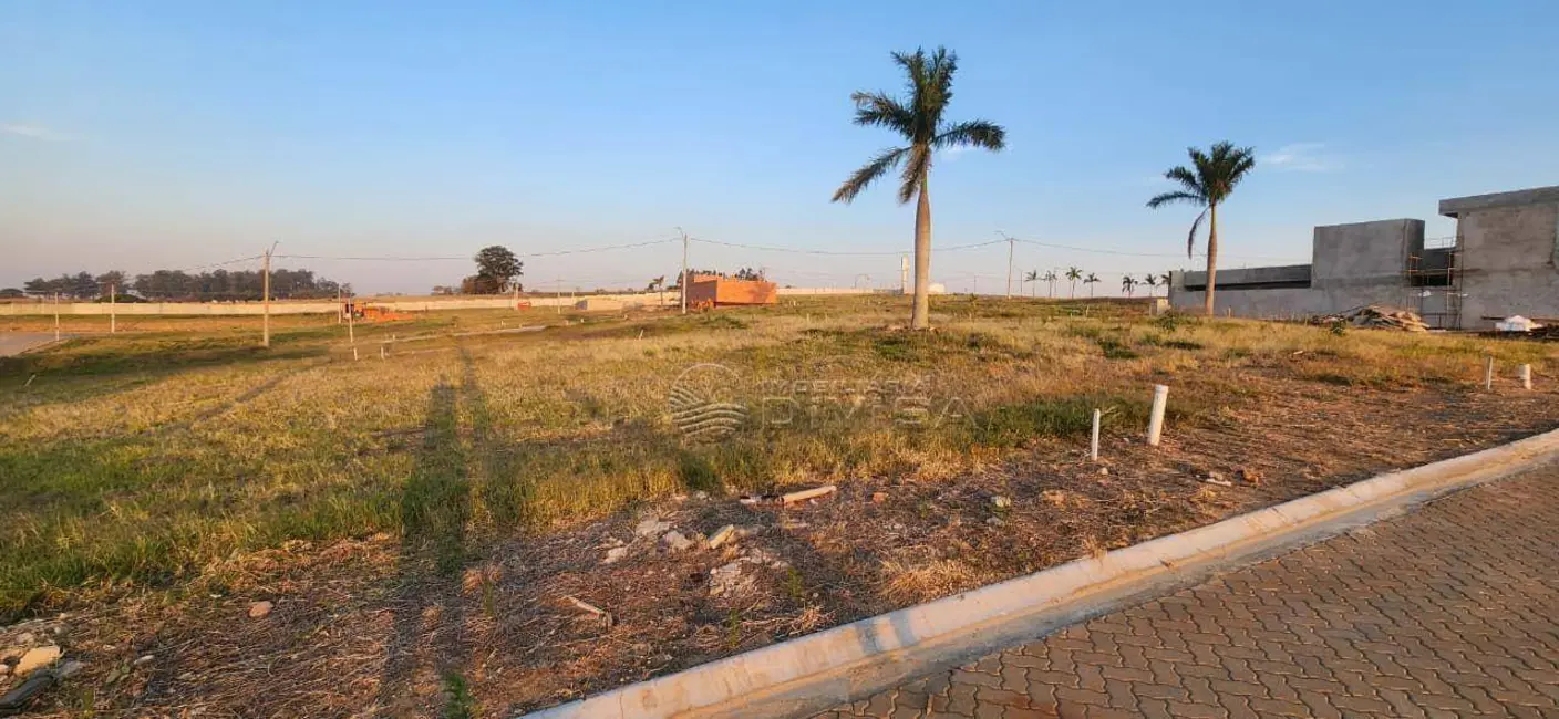 Foto 6 de Terreno / Lote à venda, 250m2 em Elias Fausto - SP
