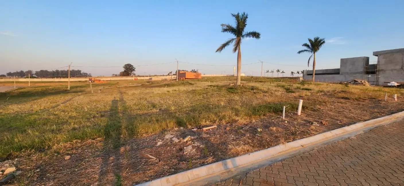 Foto 6 de Terreno / Lote à venda, 250m2 em Elias Fausto - SP