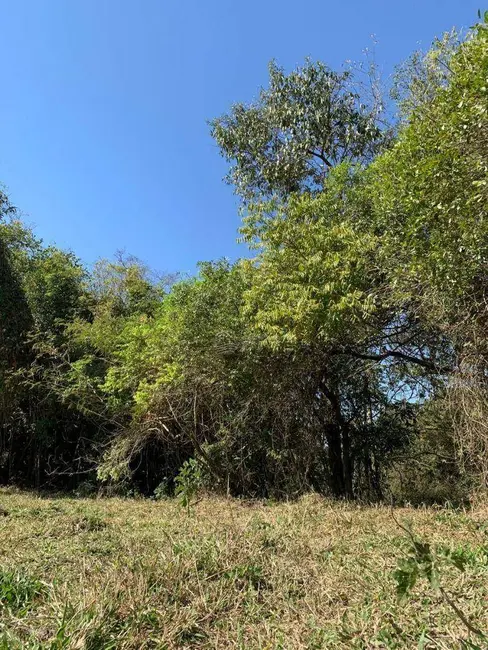 Foto 3 de Sítio / Rancho à venda, 100000m2 em Elias Fausto - SP