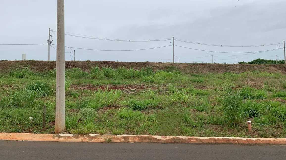 Foto 4 de Terreno / Lote à venda, 175m2 em Elias Fausto - SP
