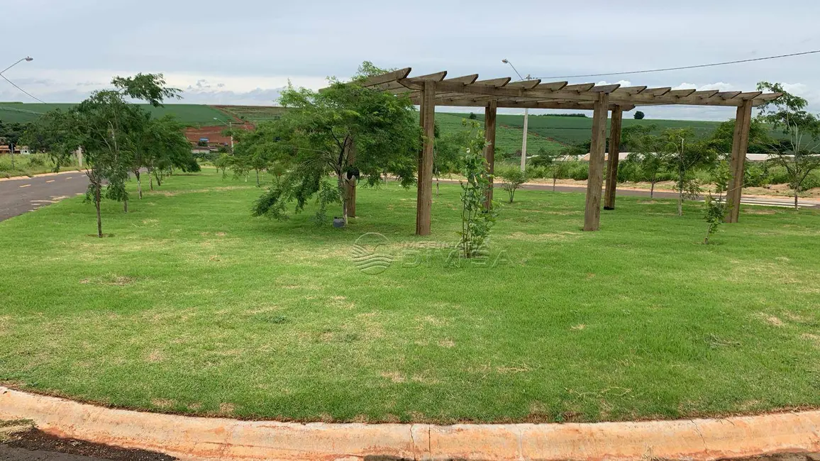 Foto 2 de Terreno / Lote à venda, 175m2 em Elias Fausto - SP