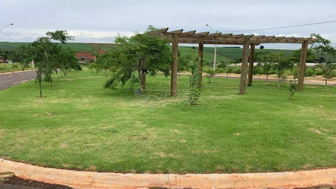 Foto 4 de Terreno / Lote à venda, 175m2 em Elias Fausto - SP