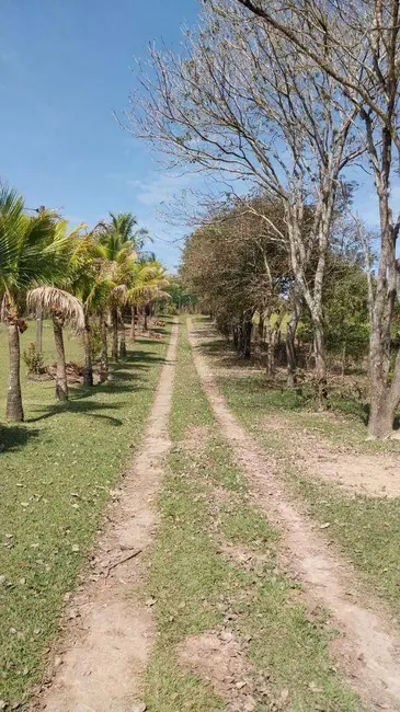 Foto 7 de Sítio / Rancho com 2 quartos à venda, 36300m2 em Elias Fausto - SP
