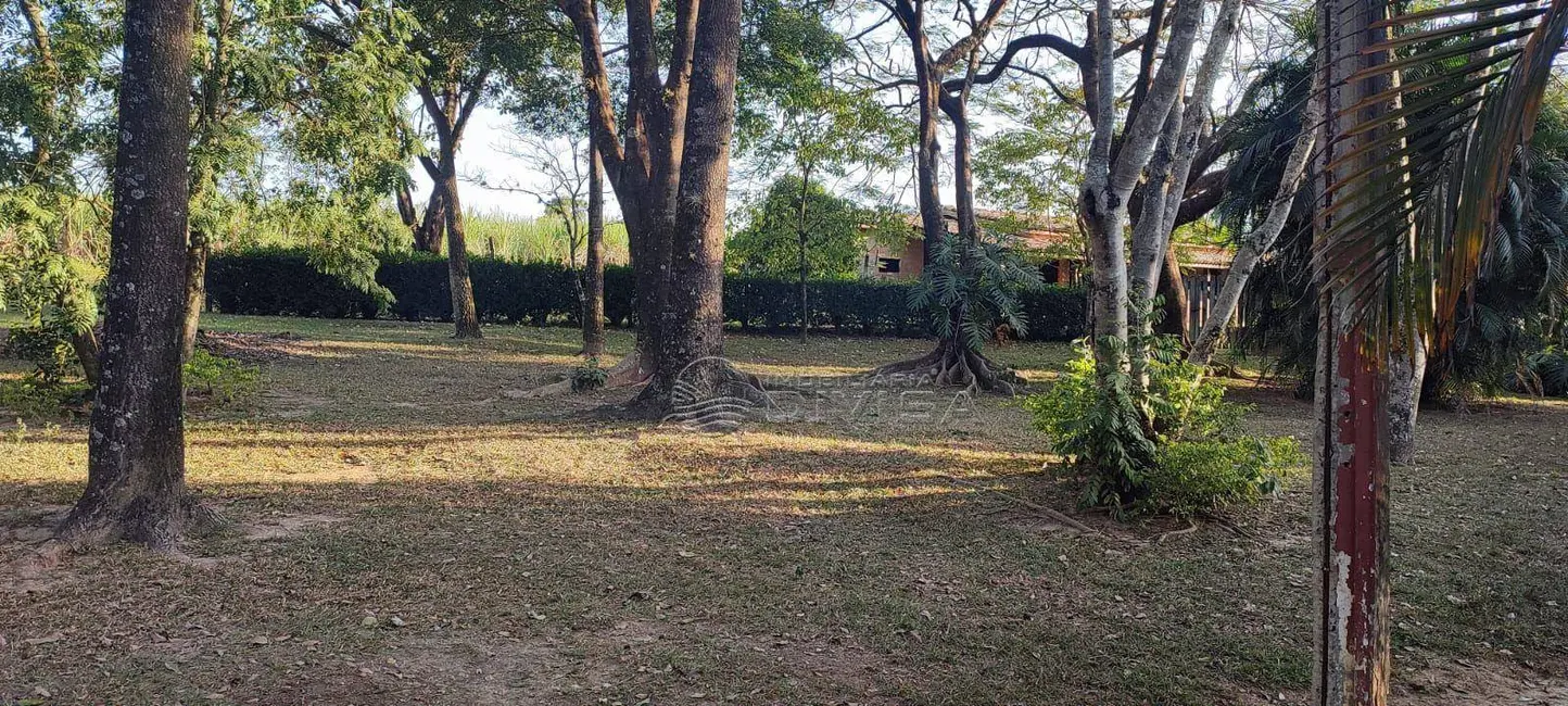 Foto 2 de Sítio / Rancho com 3 quartos à venda, 21887m2 em Elias Fausto - SP