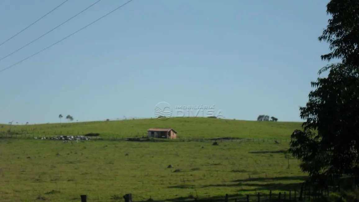 Foto 5 de Sítio / Rancho à venda, 871200m2 em Elias Fausto - SP