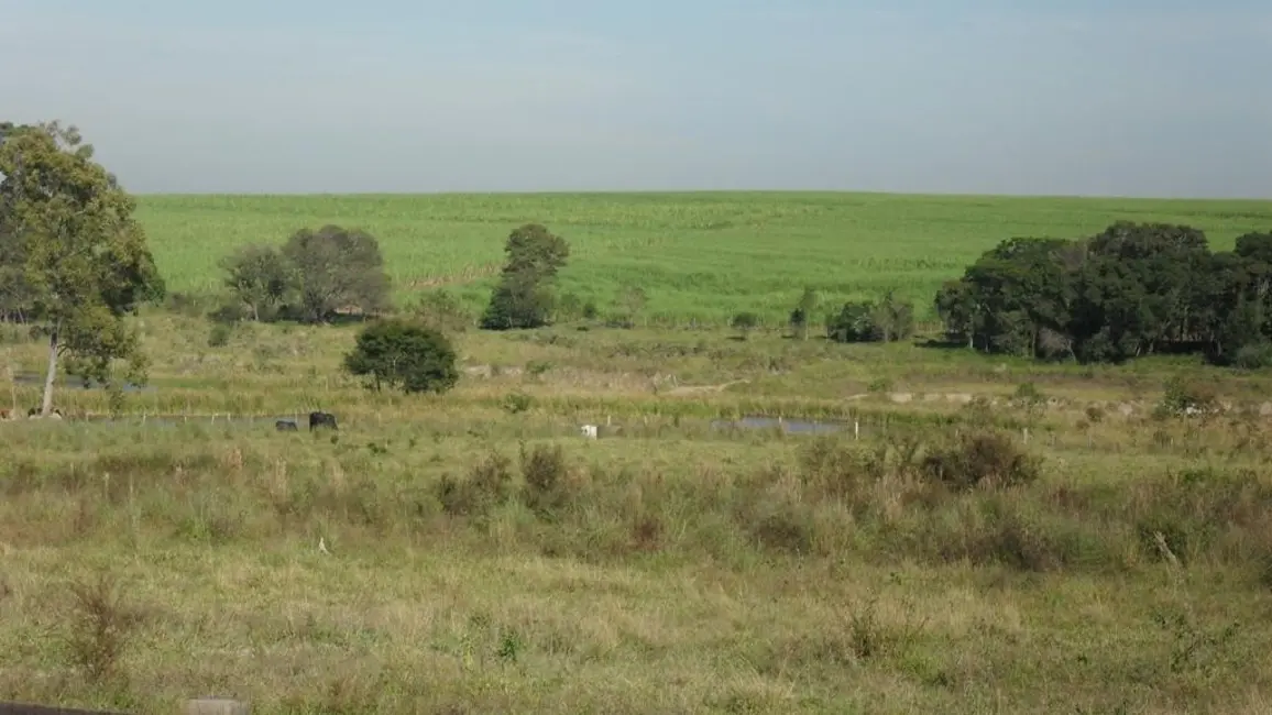Foto 3 de Sítio / Rancho à venda, 871200m2 em Elias Fausto - SP