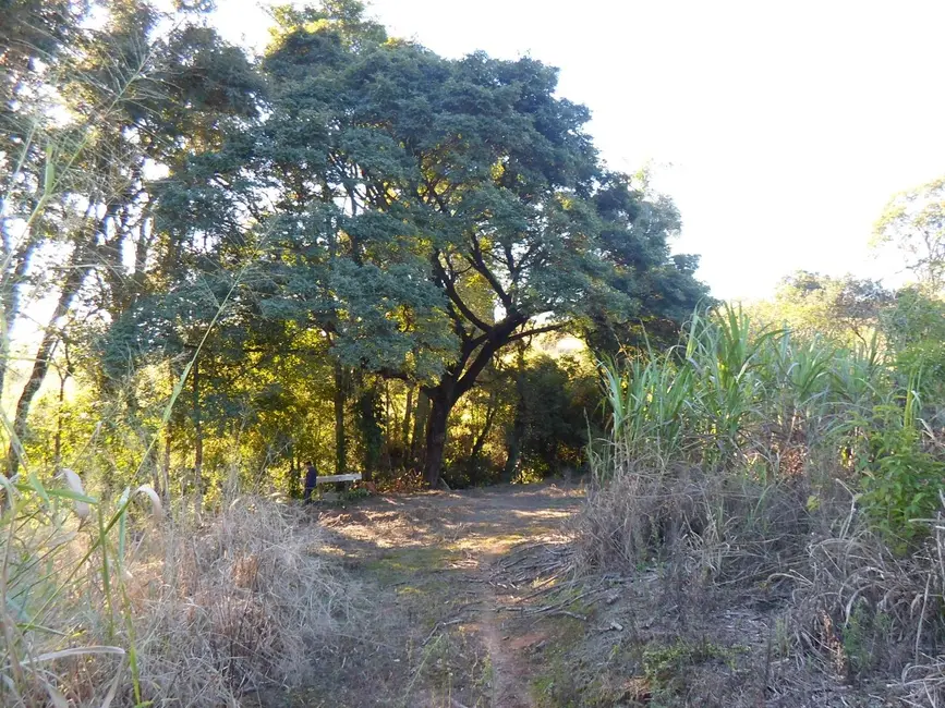 Foto 8 de Sítio / Rancho com 1 quarto à venda, 26500m2 em Monte Mor - SP