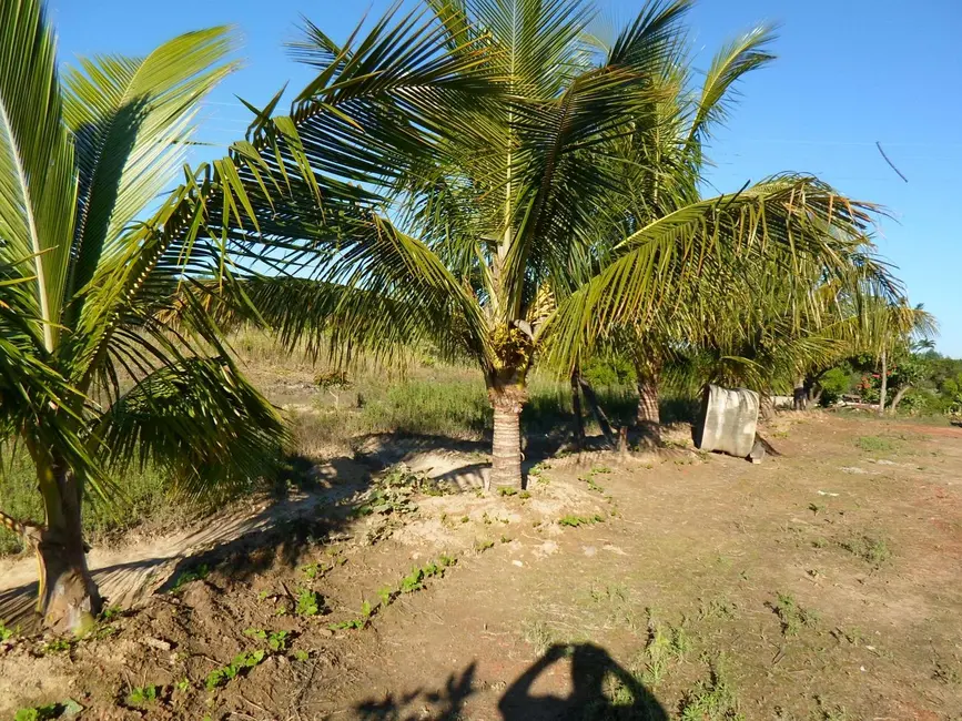 Foto 7 de Sítio / Rancho com 1 quarto à venda, 26500m2 em Monte Mor - SP