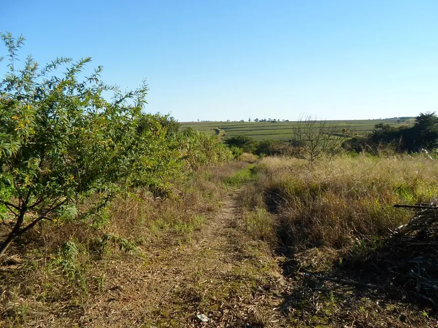 Foto 6 de Sítio / Rancho com 1 quarto à venda, 26500m2 em Monte Mor - SP