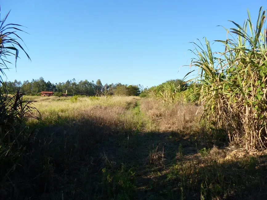 Foto 5 de Sítio / Rancho com 1 quarto à venda, 26500m2 em Monte Mor - SP