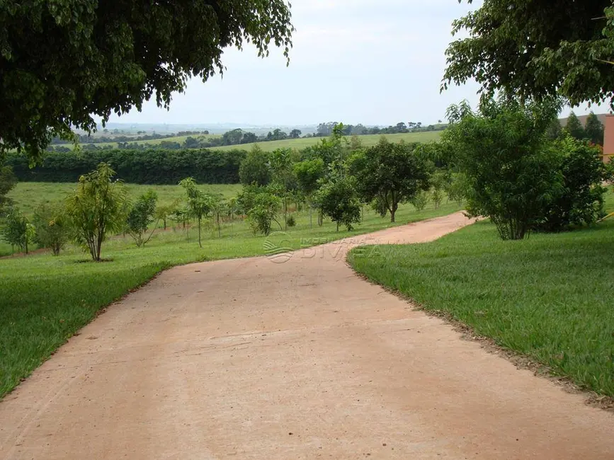 Foto 8 de Sítio / Rancho com 4 quartos à venda, 154154m2 em Monte Mor - SP