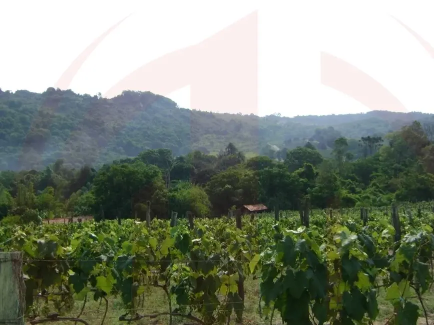 Foto 3 de Sítio / Rancho à venda, 103092m2 em Itupeva - SP