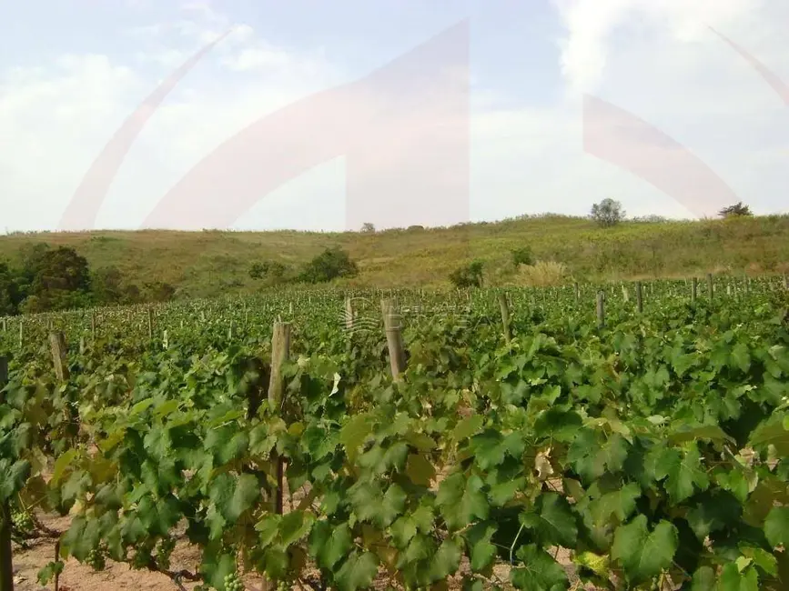 Foto 5 de Sítio / Rancho à venda, 103092m2 em Itupeva - SP