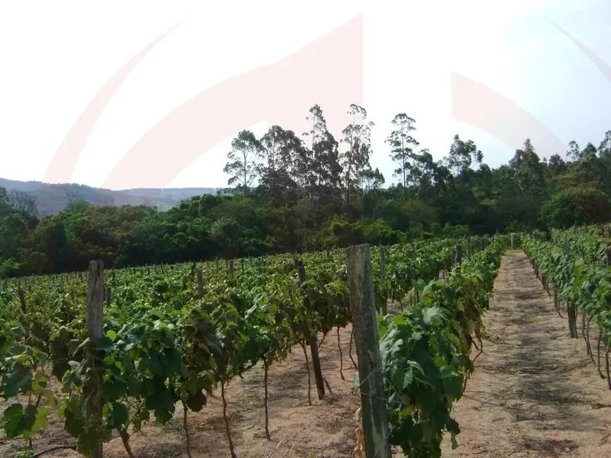 Foto 4 de Sítio / Rancho à venda, 103092m2 em Itupeva - SP