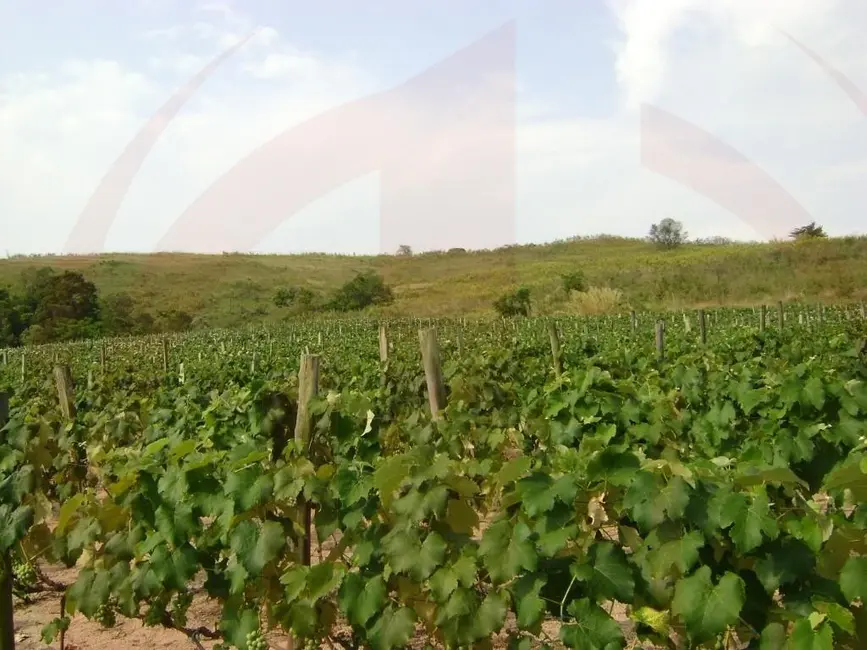 Foto 5 de Sítio / Rancho à venda, 103092m2 em Itupeva - SP