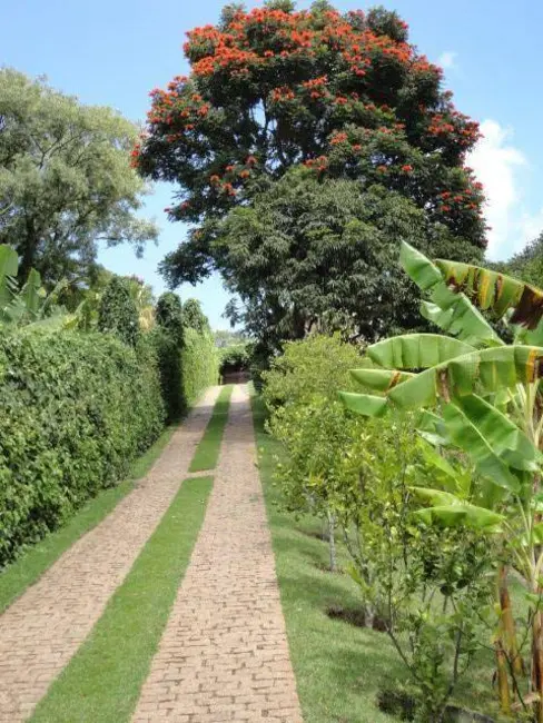 Foto 3 de Chácara com 5 quartos à venda, 2912m2 em Louveira - SP