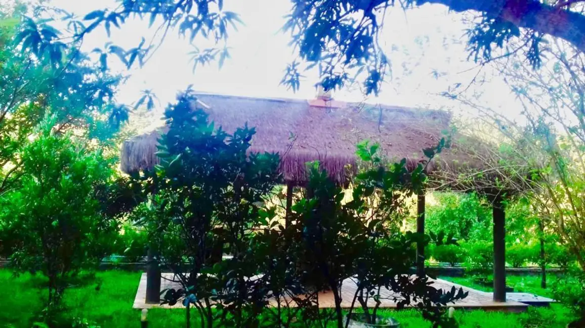 Foto 6 de Chácara com 5 quartos à venda, 2912m2 em Louveira - SP