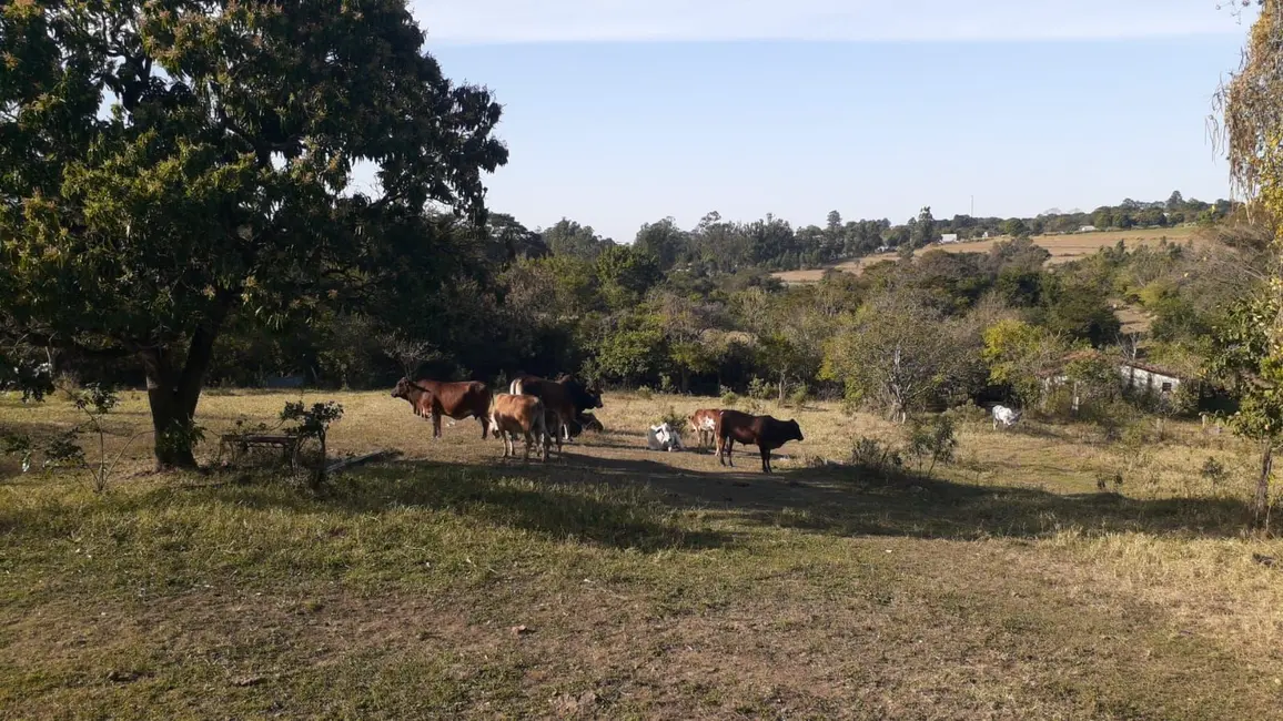 Foto 3 de Sala Comercial à venda, 50975m2 em Capivari - SP
