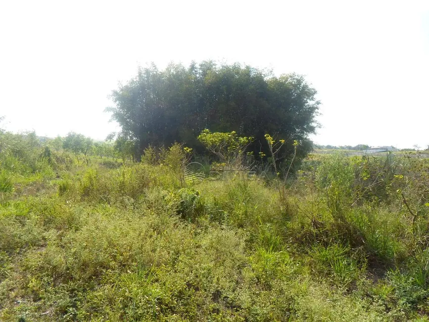 Foto 7 de Sítio / Rancho com 2 quartos à venda, 48000m2 em Mato Dentro, Indaiatuba - SP