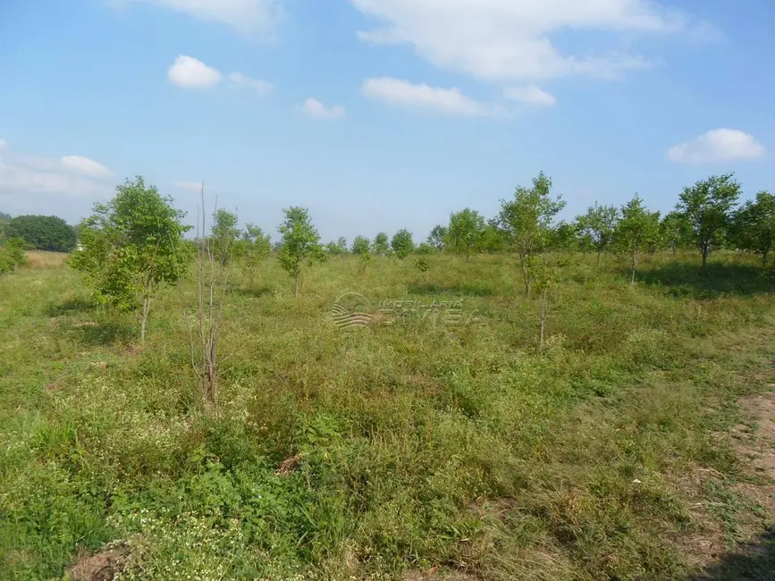 Foto 9 de Sítio / Rancho com 2 quartos à venda, 48000m2 em Mato Dentro, Indaiatuba - SP
