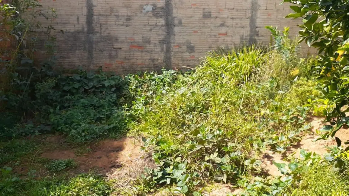 Foto 7 de Casa com 2 quartos à venda, 304m2 em Elias Fausto - SP