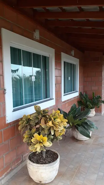 Foto 9 de Chácara com 3 quartos à venda, 24200m2 em Elias Fausto - SP