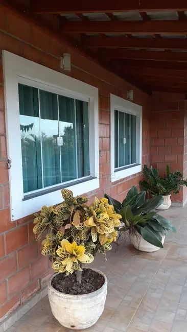 Foto 9 de Chácara com 3 quartos à venda, 24200m2 em Elias Fausto - SP