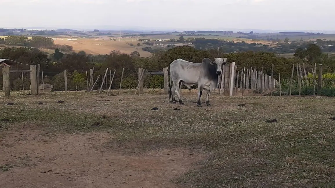 Foto 4 de Chácara à venda, 20000m2 em Elias Fausto - SP